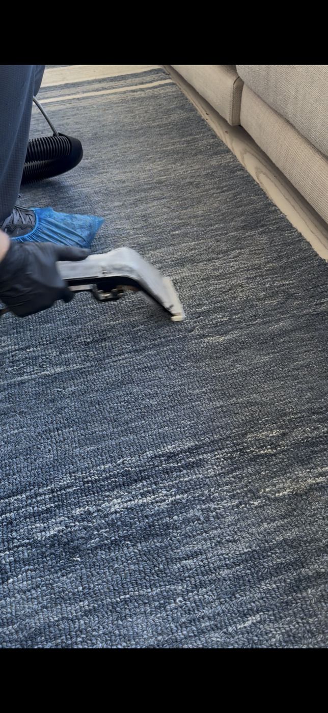 Area rug being steam cleaned next to sofa