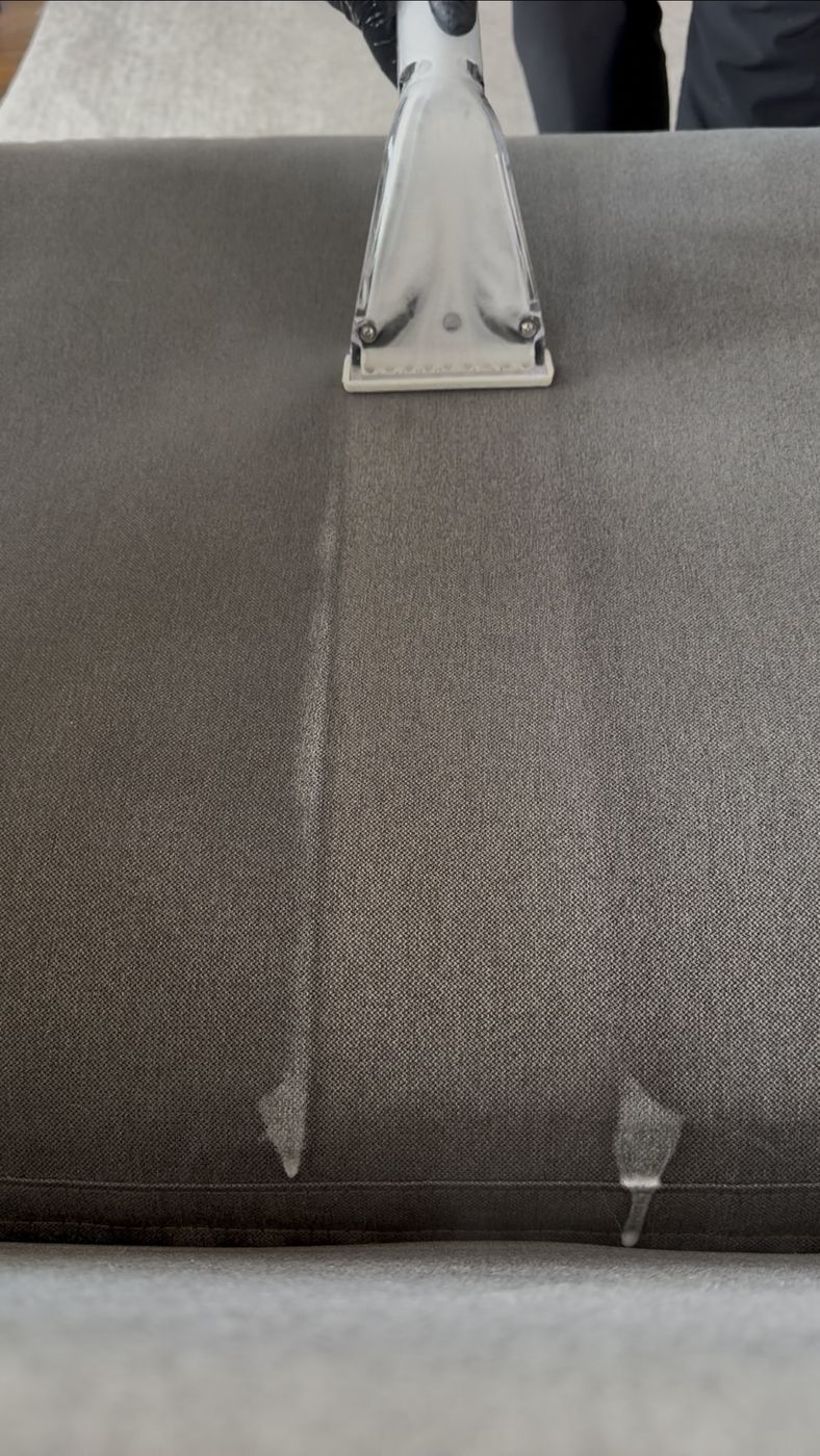 Staircase carpet being deep cleaned