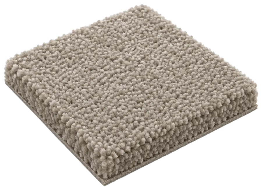 Wall-to-Wall Carpeting · 1 Room